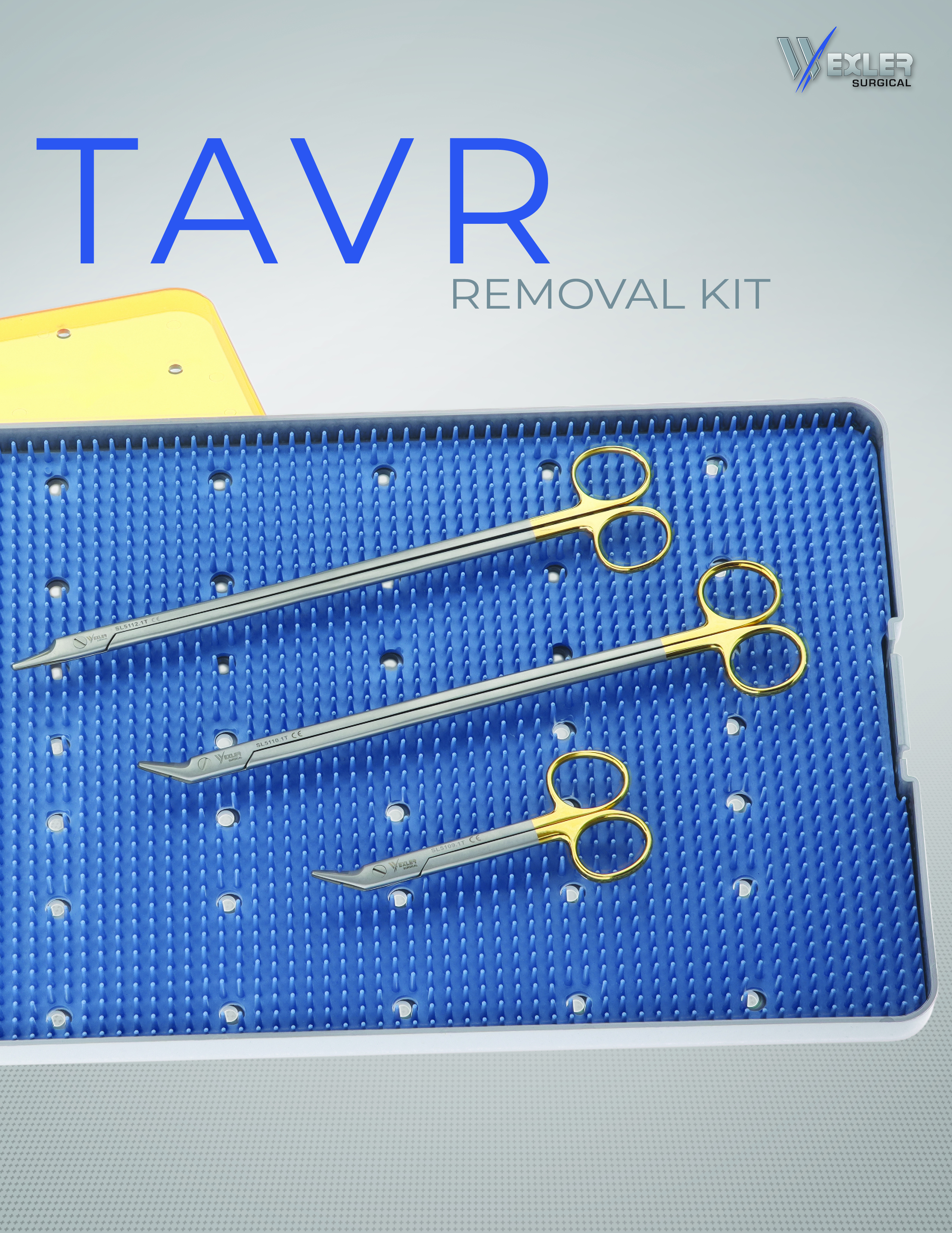 TAVR Removal Kit TAVR Removal Kit